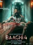 Watch Online Baaghi 4 (2025) Full Hindi Movie